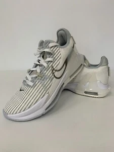 Nike Lebron Witness weiß metallic Zinn Basketballschuhe Größe 7,5 CZ4052-102 - Bild 1 von 11