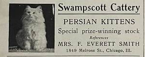 1903 Persian Kittens Antique Print Ad Swampscott Cattery F. E. Smith Chicago IL - Picture 1 of 1
