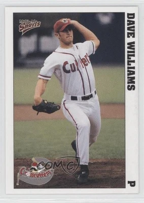 1999 Multi-Ad Sports Williamsport Crosscutters Dave Williams #29 - Image 1 of 2