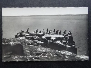Wales Cymru Anglesey PENMON & PUFFIN ISLAND c1950s RP Postcard by Frith - Picture 1 of 2