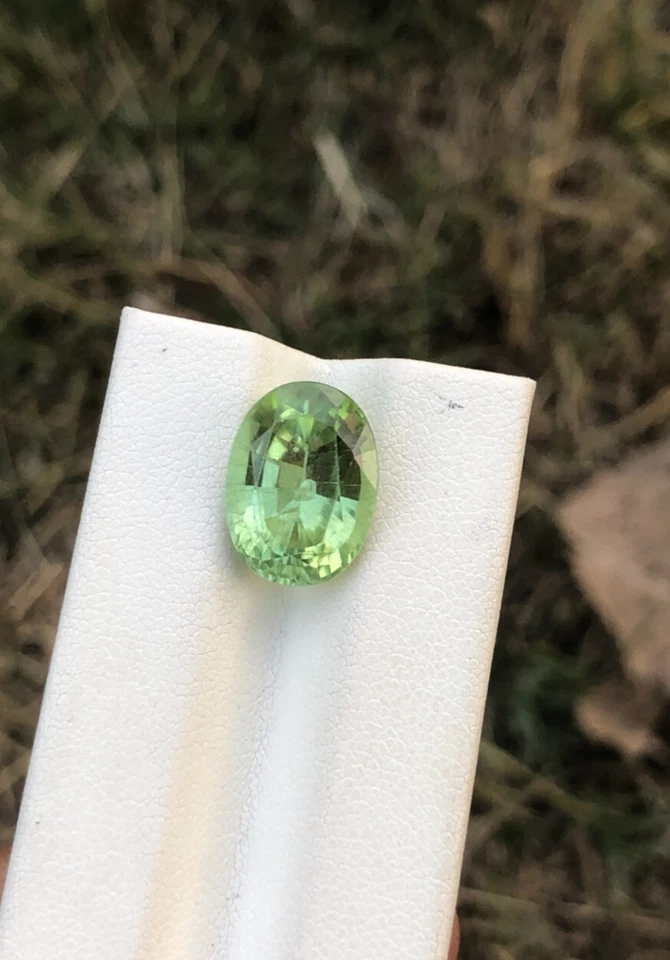 Natural Peridot Apple Green Color Oval Cut 7.85 Carats Loose Gemstone - Image 1 of 4
