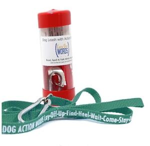 Walk and Learn Leash for Dog Puppy and Children to Read Carry Over Words