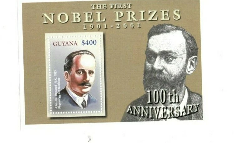 Guyana - 2002 - Premio Nobel - Hoja de recuerdo - MNH Foto 1 de 1