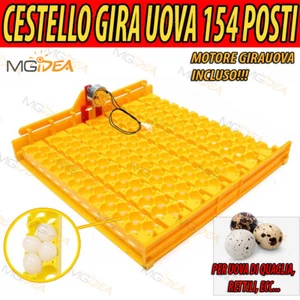 VASSOIO CESTELLO 154 POSTI UOVA PER INCUBATRICE CON MOTORE GIRAUOVA QUAGLIA - Imagen 1 de 12