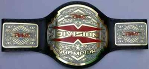 TNA X DIVISION WRESTLING CHAMPIONSHIP BELT - Picture 1 of 5