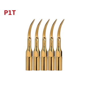 5Pcs P1T Dental Ultrasonic Scalers Piezo Tips Fit for EMS/Woodpecker Handpiece - Picture 1 of 6