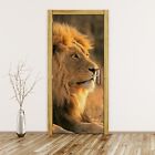 Removable Door Sticker Decal Home Decor Big male lion cat safari