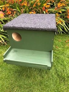 Little owl nesting box in Forest Green - can be made to order in other colours. - Picture 1 of 14