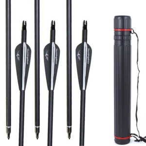 12x 31inch Carbon Arrows SP500 Archery Hunting + Telescopic Arrow Quiver Cases - Picture 1 of 20