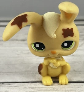 Littlest Pet Shop LPS #972 Bunny Rabbit - Picture 1 of 7