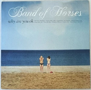 2016 RELEASE BAND OF HORSES WHY ARE YOU OK BLUE VINYL ALBUM - Picture 1 of 6