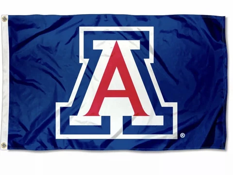Arizona Wildcats Blue Flag Large 3x5 Cover