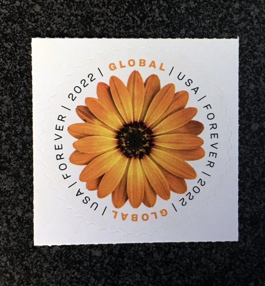 2022USA #5680 Global Forever Rate - African Daisy - Single Stamp Mint  postage - Image 1 of 1