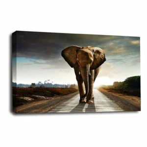 Large Elephant Wall Art Print Brown Grey Sunset Framed Animal Canvas Picture - Picture 1 of 5