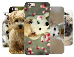 Cute Dog Pug Fancie Fox Phone Cover Case For Apple iPhone 5 6 7 8 X 11 12 13 14 - Picture 1 of 9