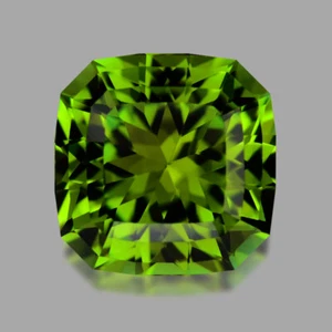 2cts Exquisite Eigener Kissen Schliff Waldgrün Turmalin - Picture 1 of 1