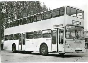 Postal Foto Berlín Man SD 73 Año 1973, Autobús BVG 29 al cuello de rosa - Imagen 1 de 1