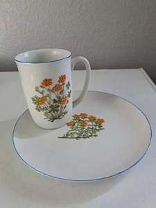 Vintage Takahashi 7,75" Salatteller mit 4,25" Teetasse mit orangefarbenen Wildblumen - Bild 1 von 6