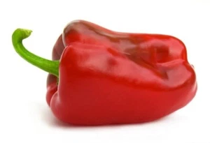 Sweet pepper, 0,3g pepper Red giant seeds,heirloom organic seeds -586 - Picture 1 of 2