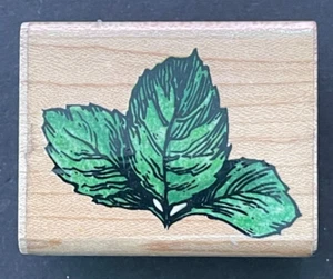Leaves Garden Plant Template Stampendous Wood Rubber Stamp - Picture 1 of 5