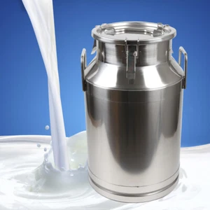 Stainless Steel 40L/10.56 Gallon Milk Can - Heavy Duty Farm Milk Jug Milk Bucket - Picture 1 of 6