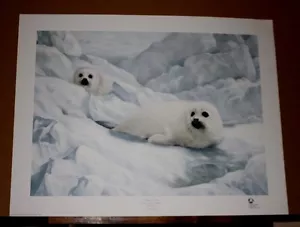 Peace on Ice Charles Frace kanadische Harfe Robbe ausverkauft Wildtiere Tennessee Künstler - Bild 1 von 8