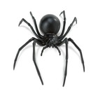 Safari Ltd. Black Widow Spider Figurine - Realistic 6.5\