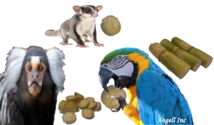 Fresh Sugar Cane For MARMOSET MONKEYS SUGAR GLIDERS PARROT Pet Food Sweet Treat - Picture 1 of 6