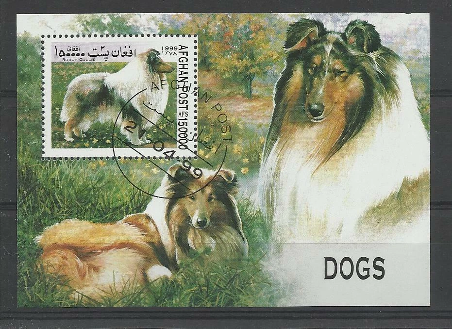  chien dog hund perro Bloc Feuillet oblitéré 1 Afghanistan  - Photo 1/1