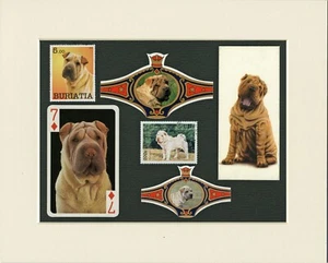 SHAR PEI ORIGINAL OLD DOG COLLECTABLE CARDS STAMPS AND BANDS READY MOUNTED - Picture 1 of 1