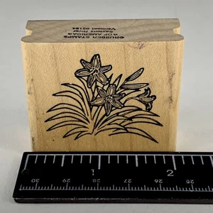 Rubber Stamps Of America Rubber Stamp Tulips Bulbs Spring Flowers - Picture 1 of 7
