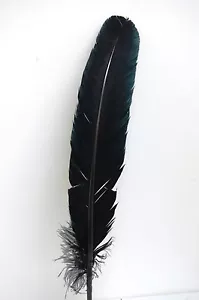 10 PENNE TACCHINO 10-12" Piume Artigianali Colorate NERE; Costume Abito Indiano - Foto 1 di 3