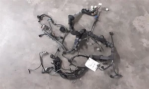 Arnés de cables del motor Solara 2001 466835 - Imagen 1 de 12