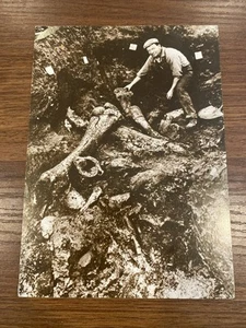 Vintage Postcard Early Dig 1920 Rancho La Brea Tar Pits Los Angeles CA - Picture 1 of 5