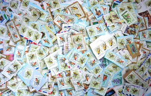 MALAWI PICTORIALS STAMPS on paper mixture/kiloware 3 oz.(84 grams) B3 - Picture 1 of 1