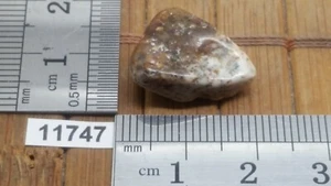 AGATE DENDRITE pierre roulée mineraux lithotherapie collection esoterisme reiki - Picture 1 of 1