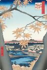 Ukiyo-e / Hiroshige Utagawa: MamanoMomijiTekonanoYashirotsugihashi