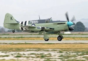 Planes de acrobacias: Fairey Firefly FR Mk I de Swanston (1964) - Imagen 1 de 4