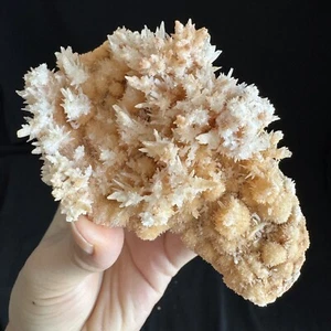 11cm-274grams Radiating Flowery Orange Calcite Specimen, China #23 - Picture 1 of 7