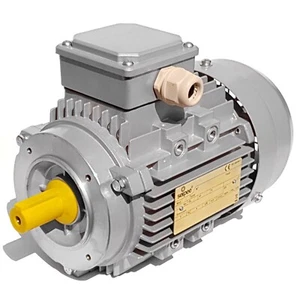 Motor eléctrico Trifásico 15.0 kW 20.5 HP 2800 rpm B14 MEC 160 400v - Imagen 1 de 12