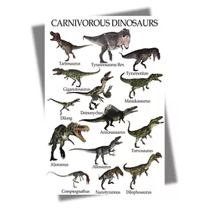 Carnivorous Dinosaurs Poster,Knowledge Poster Home Decor T728 - Picture 1 of 6