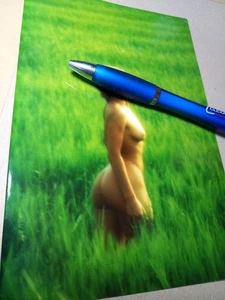 Künstlerisches altes originales Aktfoto vom Negativ, echte Playmate! 13x18 glanz - Bild 1 von 2