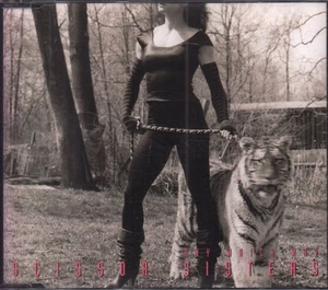 Scissor Sisters Any Which Way CD Europa Polydor 2010 Single Promo Hat Infos - Bild 1 von 2