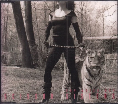 Scissor Sisters Any Which Way CD Europa Polydor 2010 Single Promo Hat Infos - Bild 1 von 2