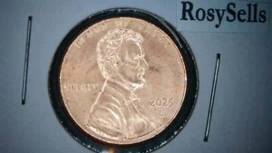 2025-D Lincoln Shield Cent "In Stock" *Could Be Last Cents Minted In America* - Picture 1 of 2