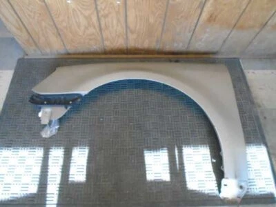 Guardabarros derecho pasajero compatible con 05-07 QUINIENTOS 320221 Foto 1 de 4