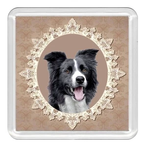 Border Collie Dog Acrylic Coaster Novelty Drink Cup Mat Great Gift - Picture 1 of 1