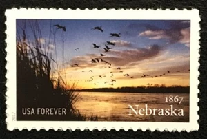 2017 Scott #5179 - Forever - NEBRASKA STATEHOOD - Single Mint NH - Picture 1 of 1