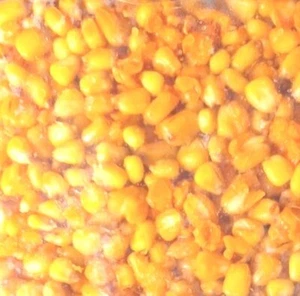 1Kg Gekochter Mais Honig -  Maiskörner gekocht - Partikel - Hakenköder - Bild 1 von 1