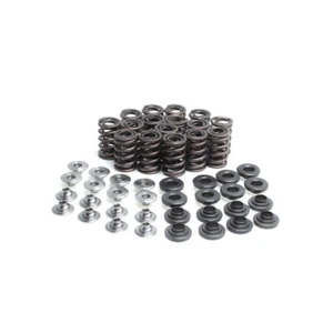 Ventilfedern inkl. Titan-VentiltellerZX-9R `95-`96 valve springs incl. titanium  - Bild 1 von 1